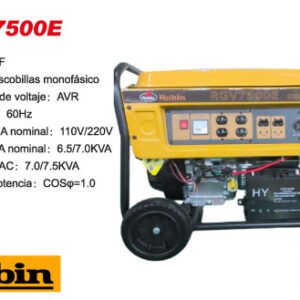 Generador de luz Robin RGV7500E